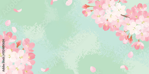 桜　水彩背景イラスト