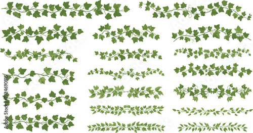 Ivy Leaf Border and Greenery Garland Collection with Seamless Climbing Plant Strips for Wedding Frame, Garden Decor, and Nature Vector Design.
