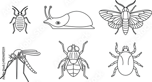 Collection of insect and pest line art icons simple vector illustrations for nature and science concepts isolated on white background