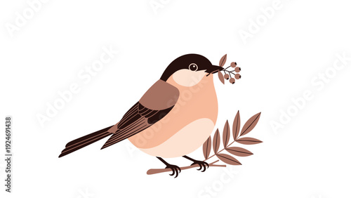 Small brown and peach colored bird perched on a branch holding a cluster of tiny red berries in its beak with a simple white background.