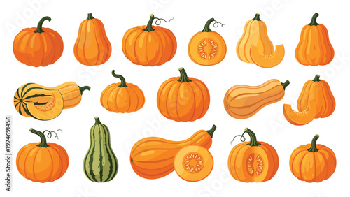 Diverse collection of autumn pumpkins and squashes in various shapes sizes and colors including classic orange pumpkins and striped gourds.