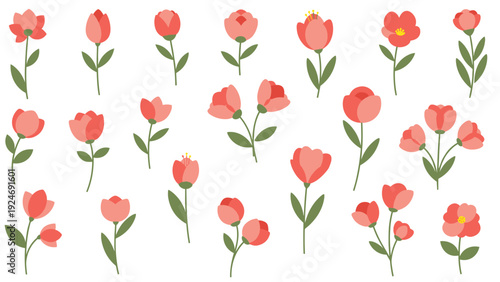 Colorful set of various red and pink flowers with long green stems for floral arrangements and garden designs.