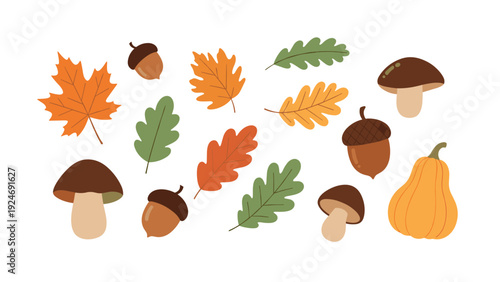Seasonal autumn collection featuring various fall leaves, acorns, mushrooms, and a pumpkin for seasonal decor.