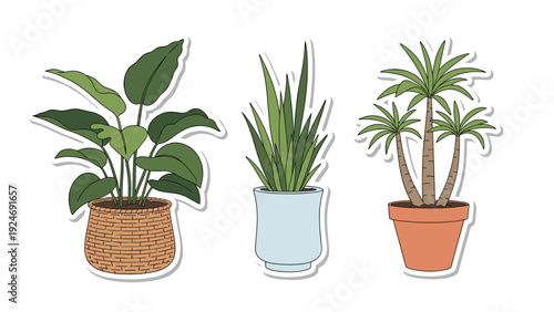 Decorative indoor plant stickers featuring a tropical leaf plant, a snake plant, and a small palm tree in various pots.