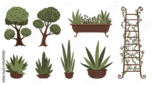 Collection of garden elements including green trees, potted succulents, a planter box, and a ladder covered in climbing vines.