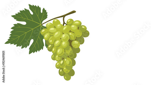 bunch of green grapes with a large leaf isolated on a white background, highlighting fresh and healthy fruit.