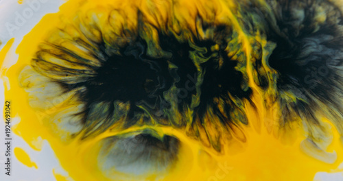 Wallpaper Mural Ink splatter blur. Pigment droplet. Black yellow liquid spill on white background. Bright color fluid splash abstract art explosion. Torontodigital.ca