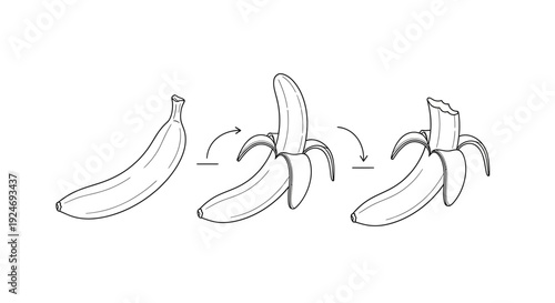 Banana peeling process illustration, step by step, isolated on white background