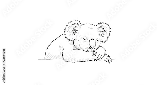 Sleeping Koala Bear Cartoon Illustration.
