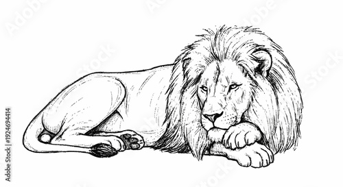 Lion with Flowing Mane Lying Down.