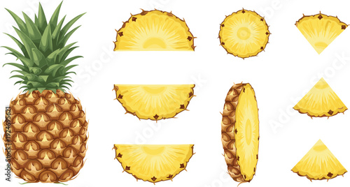Fresh pineapple vector illustration set showing whole fruit and sliced pieces, tropical juicy food elements isolated on white for packaging, menu and healthy diet design
