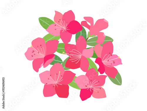 ツツジの花をイメージしたイラスト
