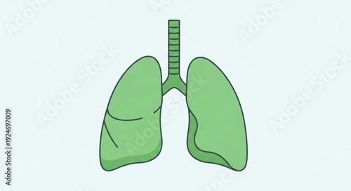 Green lungs with trachea illustration for health and medical concepts anatomy education