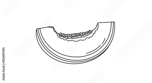 Melon Slice Illustration: Fresh Cantaloupe Wedge with Seeds, Outline Drawing