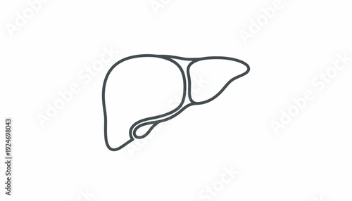 Human Liver Outline Icon, Medical Organ Symbol, Simple Vector Illustration