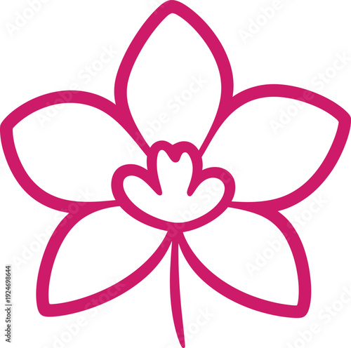 Pink orchid flower outline on white background simple