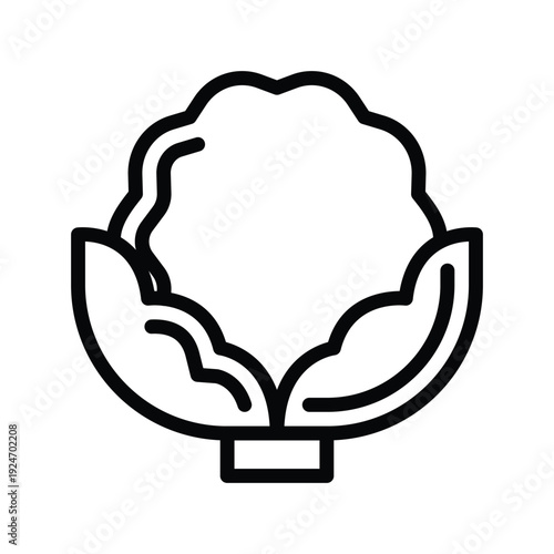 Cauliflower icon line art illustration. Vegetables single line icon.