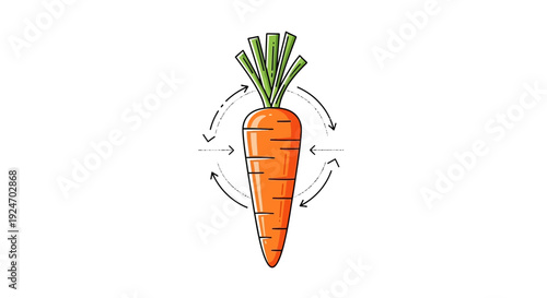 Fresh Carrot with Circular Arrows Indicating Growth Cycle or Rotation