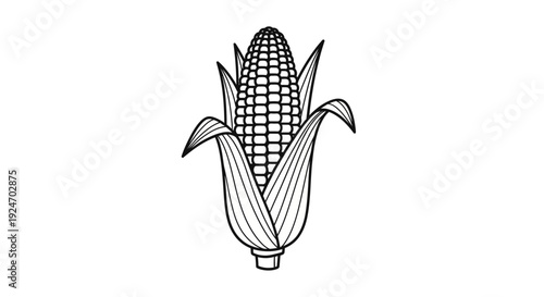 Fresh Corn on the Cob, Hand-Drawn Illustration, Black and White Line Art