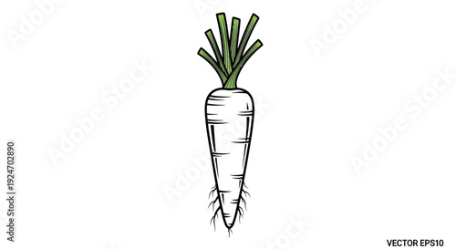 Fresh Daikon Radish Root Vegetable with Green Stems and Roots, Hand-Drawn Style