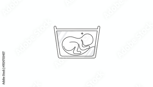 Fetus in womb, embryo development, medical illustration, abstract concept, new life