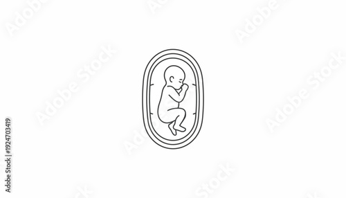 Fetus in womb, outline drawing, new life, conception, pregnancy, human development