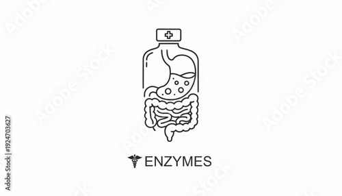 Digestive Enzymes Bottle Icon: Stomach and Intestines, Medical Health Concept