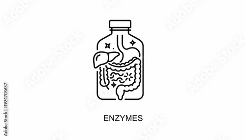 Digestive Enzymes Bottle Icon: Liver, Intestines, Stomach for Gut Health and Digestion