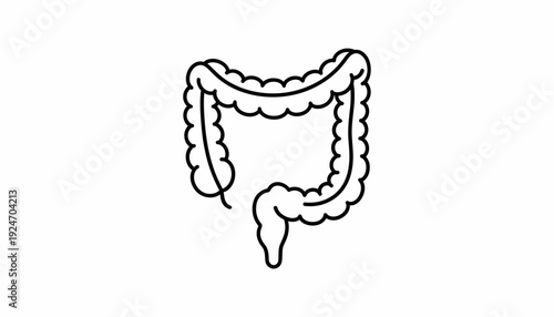 Colon Intestine Anatomy Outline Icon Vector Illustration