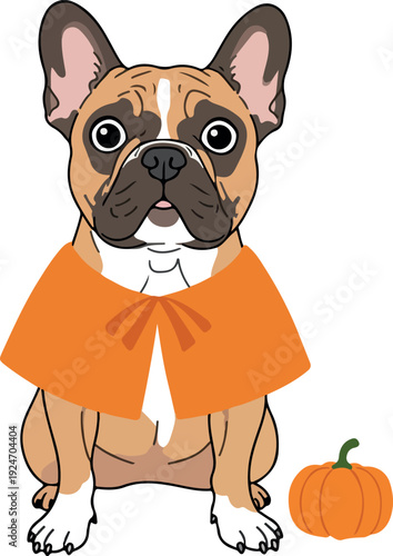 Cute French Bulldog Dog Wearing Orange Cape With Small Pumpkin