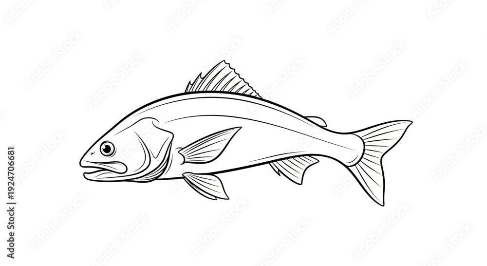 Fototapeta premium Black and White Line Drawing of a Fish, Isolated on White Background
