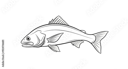 Black and White Line Drawing of a Fish, Isolated on White Background