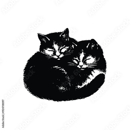 Black and white retro vintage illustration of two cute little cats hugging, curled up bodies hand drawn style vector art