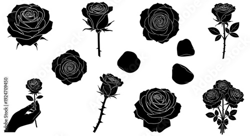 Collection of black roses with detailed petals and leaves