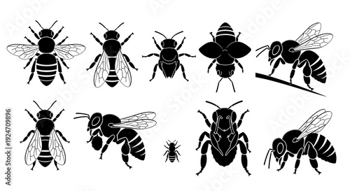 Collection of various bee silhouettes and insects