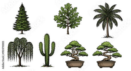 Collection of various potted and freestanding trees and plants