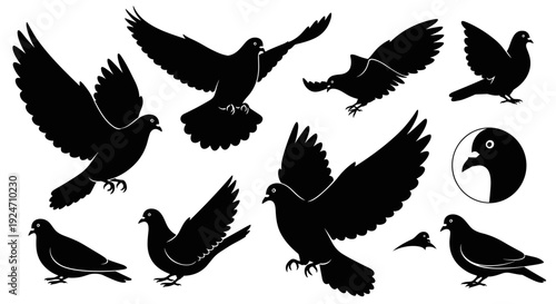 Collection of black bird silhouettes in flight