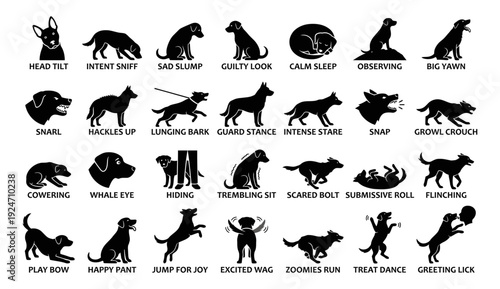 Dog body language icon set featuring 28 flat vector pictograms for professional canine behavior training and pet education.