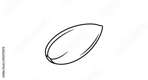 Almond Seed Outline Drawing, Healthy Food Ingredient, Simple Graphic Icon