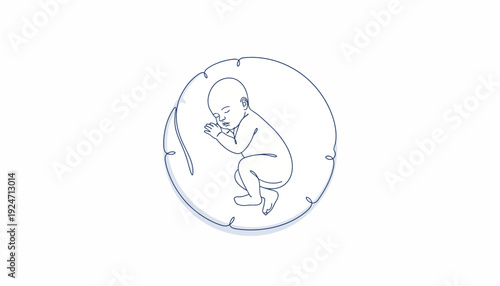 Newborn baby sleeping peacefully in womb, fetal position, pregnancy illustration