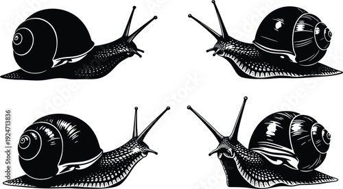 Black and white snails collection, isolated garden mollusks with shells, crawling slow gastropods, nature wildlife silhouette graphic design elements