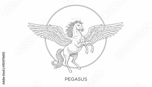 Mythical Pegasus Horse with Wings and Halo, Line Art Illustration