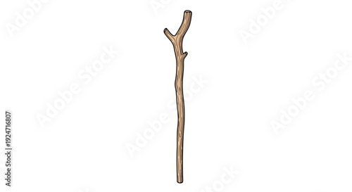 Natural Wooden Walking Stick or Staff with Twigs, Isolated on White Background