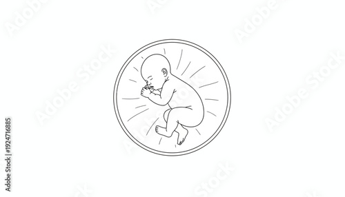 Newborn baby fetus in womb, prenatal development, pregnancy, life cycle, medical illustration