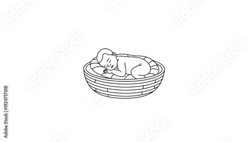 Newborn baby sleeping peacefully in a woven basket, innocence and comfort
