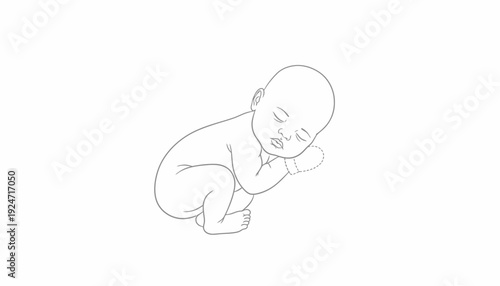 Newborn baby sleeping peacefully in fetal position, line art illustration, symbol of innocence and new life