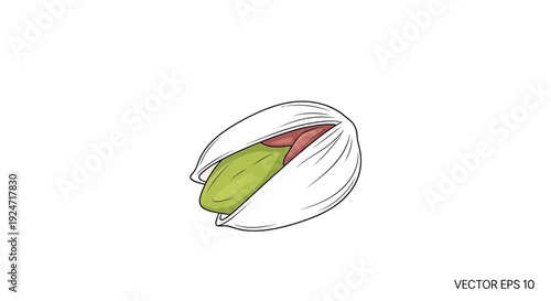 Pistachio nut in shell, illustration, isolated on white background