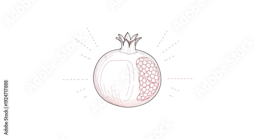 Pomegranate Drawing: Fresh Fruit Illustration with Seeds and Crown