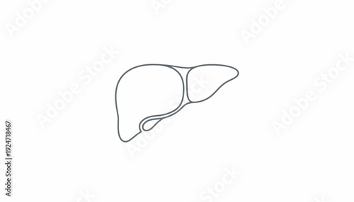 Simple Line Art Illustration of Human Liver, Medical Organ Icon