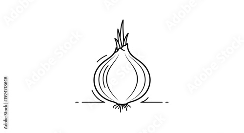 Simple Line Drawing of a Fresh Onion with Sprouts on a White Background